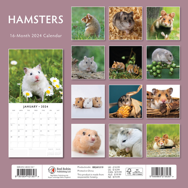 Buy Hamster Calendar 2024? Quick and easy online