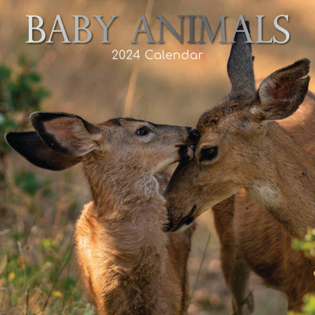 Mon Calendrier Mural : Calendrier 2024 de bébés animaux