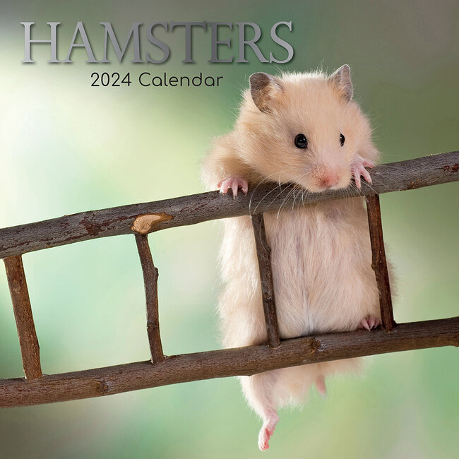 The Gifted Stationary Hamster Kalender 2024