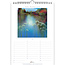 Ton Dubbeldam Calendrier d'anniversaire A4 Serenity