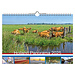 Comello Calendario panoramico Olanda 2025