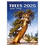 Trees - Trees Calendar 2025