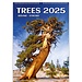 Helma Arbres - Calendrier des arbres 2025