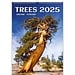 Helma Trees - Trees Calendar 2025