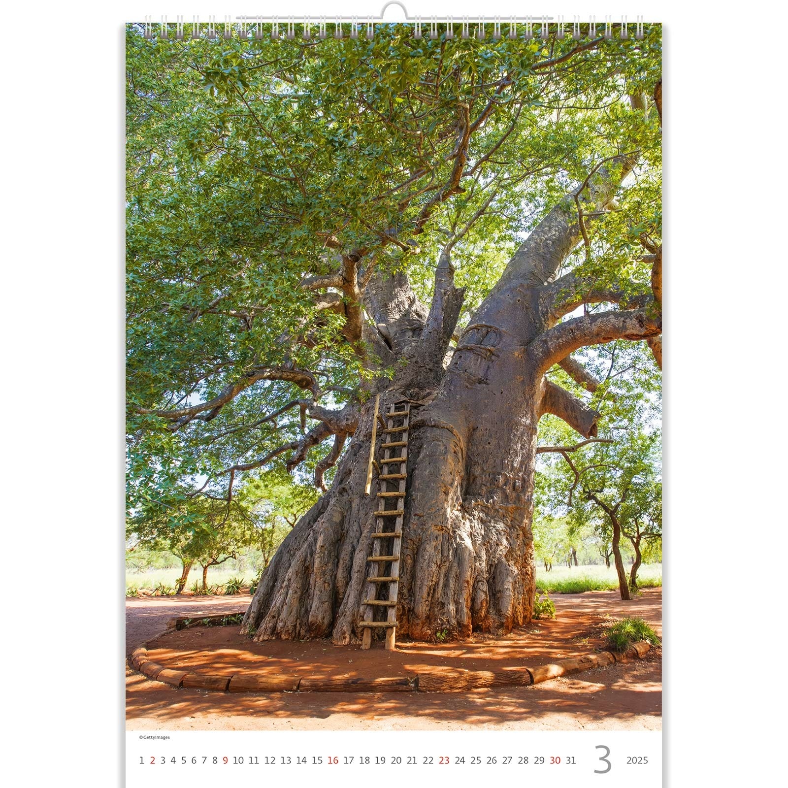 Buying Trees Trees Calendar 2025? Quick and easy online