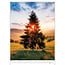 Trees - Trees Calendar 2025