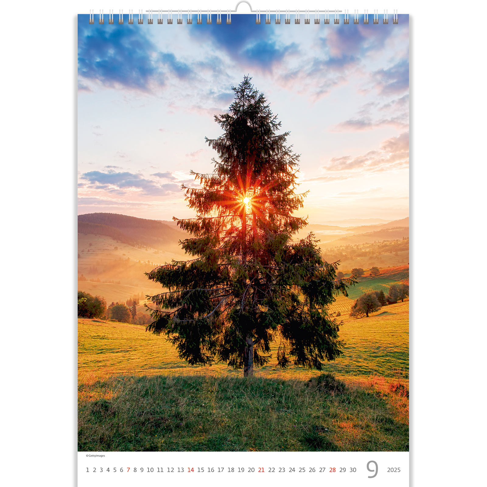 Buying Trees Trees Calendar 2025? Quick and easy online