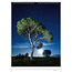 Trees - Trees Calendar 2025