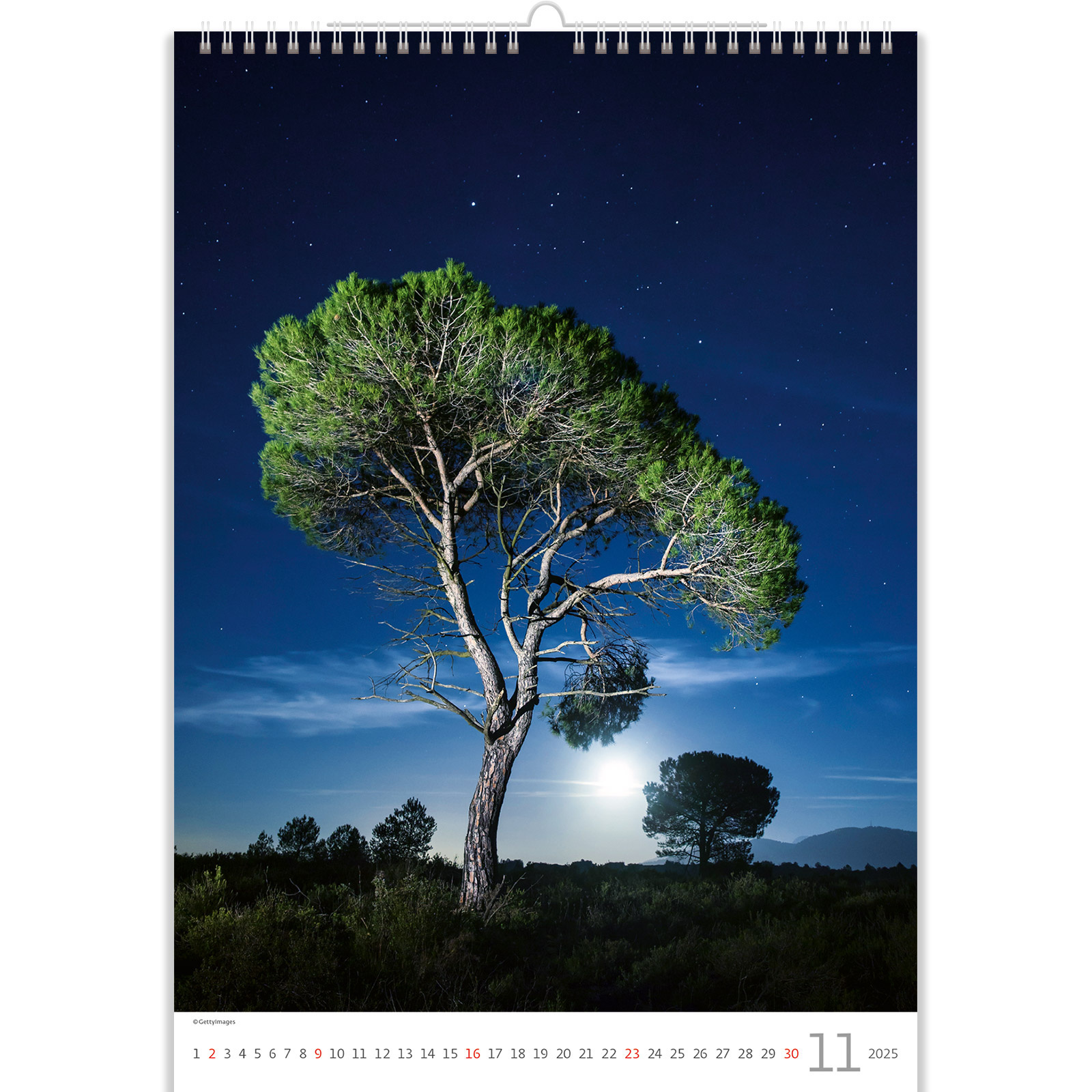 Buying Trees Trees Calendar 2025? Quick and easy online