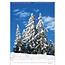 Trees - Trees Calendar 2025