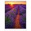 Provence Kalender 2025