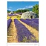 Provence Calendar 2025