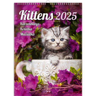 Helma Calendario Gatitos 2025