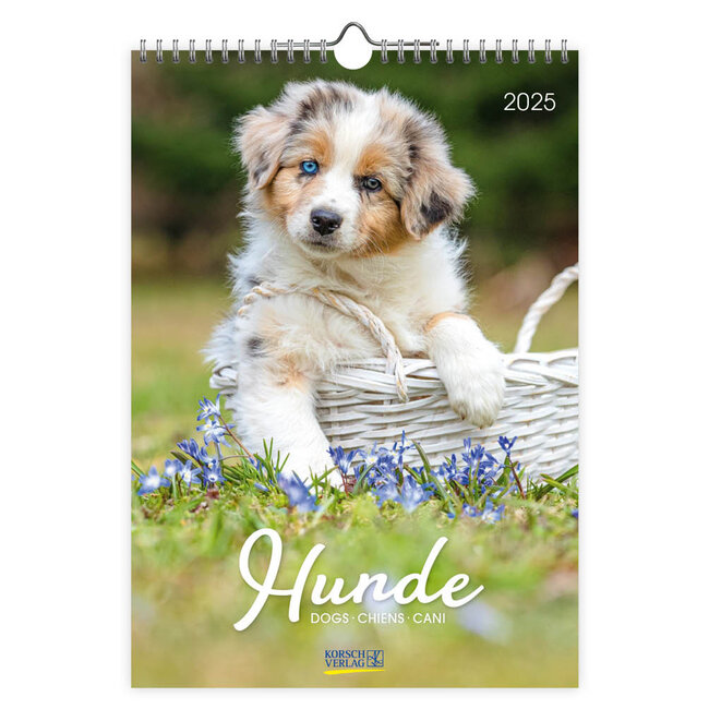 Hundekalender 2025