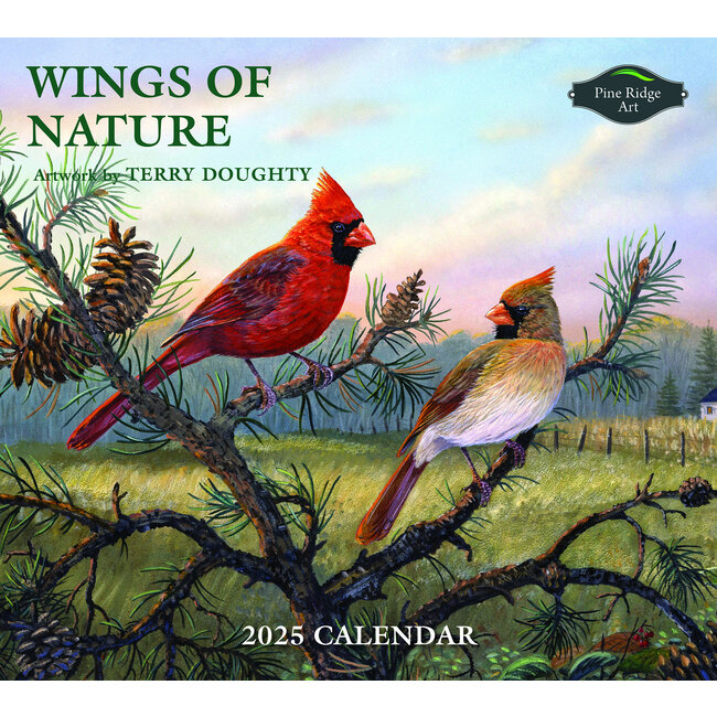 Buying Wings of Nature Calendar 2025? Quick and easy online