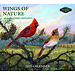 Pine Ridge Calendario Le ali della natura 2025