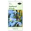 Feathered Friends Calendar 2025 Small