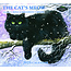 Pine Ridge Il calendario di Cat's Meow 2025