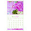 Beauty in Bloom Calendar 2025