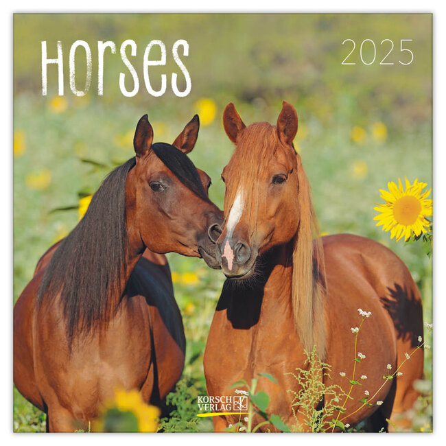Korsch Verlag Calendrier des chevaux 2025
