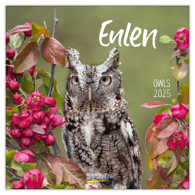 Korsch Verlag Owls Calendar 2025
