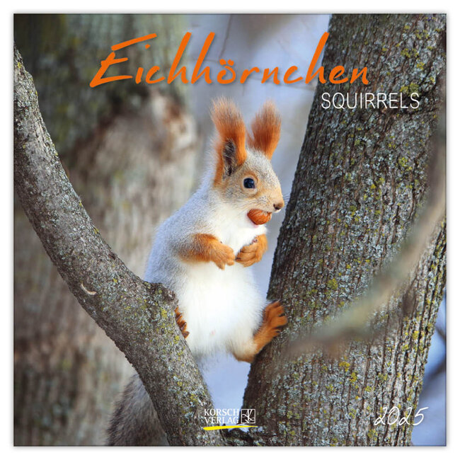 Korsch Verlag Calendario dello scoiattolo 2025