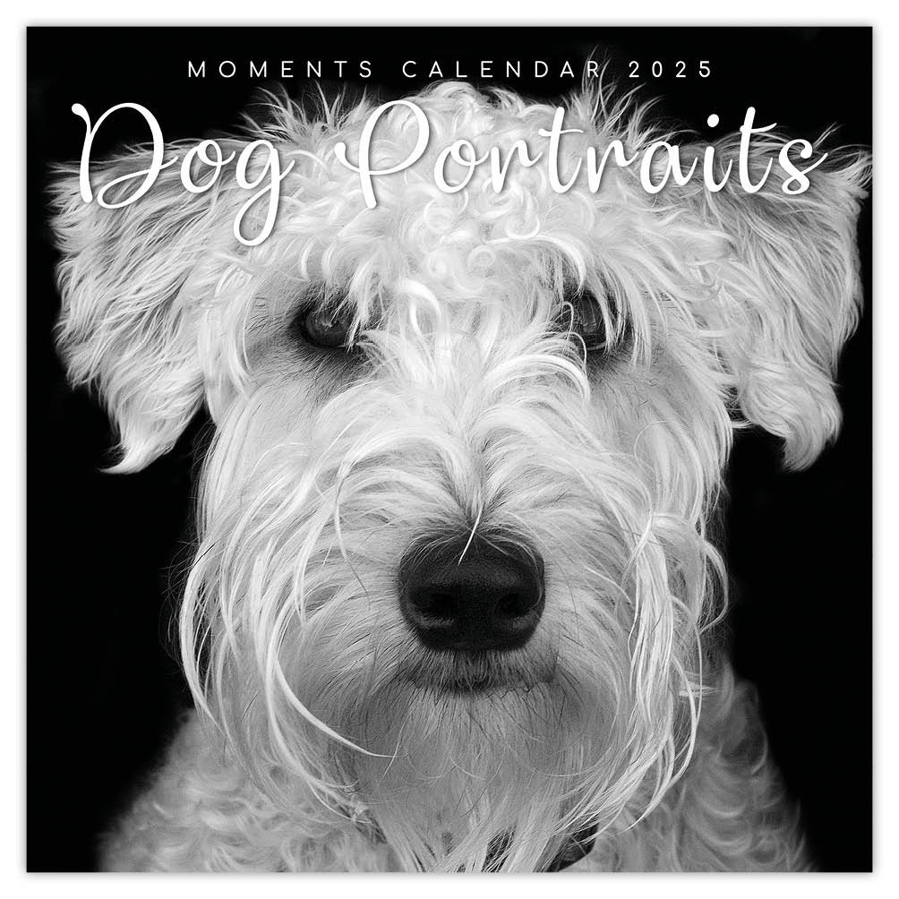 Buy Dog Portraits Calendar 2025? Order online quickly and easily