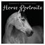 Horse Portraits Calendar 2025