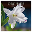 The Gifted Stationary Orchid Calendar 2025