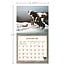 Cows Cows Cows Kalender 2025