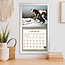 Cows Cows Cows Kalender 2025