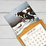 Cows Cows Cows Kalender 2025