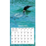 Loons on the Lake Kalender 2025