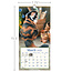 Cats in the Country Kalender 2025 Klein