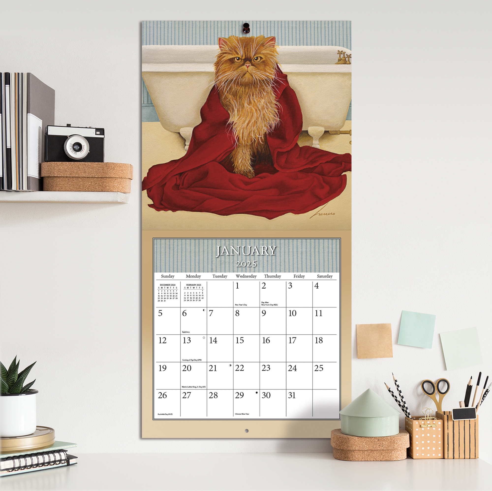 Cats Kalender 2025 - Shopcalendars.com