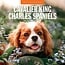 Cavalier King Charles Spaniel Kalender 2025