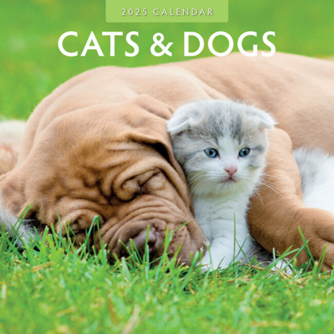 Cats and Dogs Calendar 2025