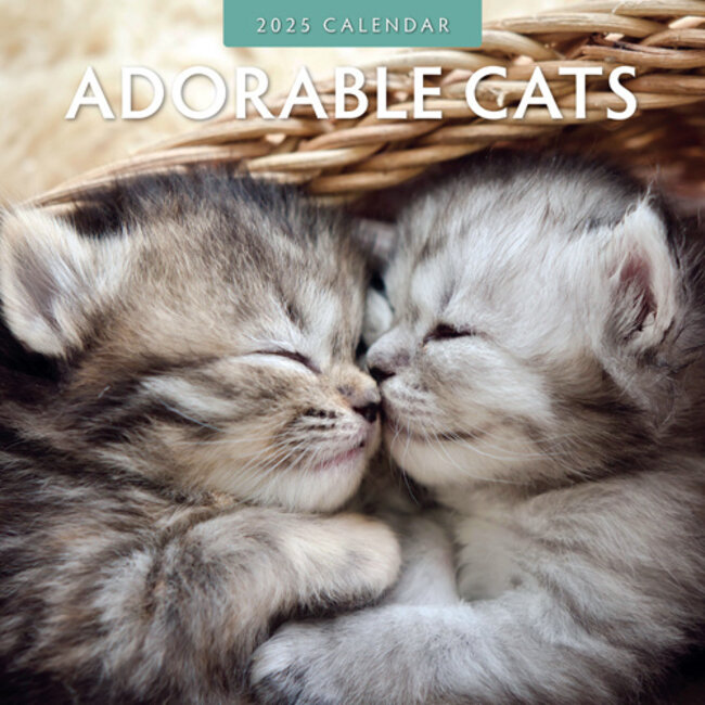 Adorable Cats Calendar 2025