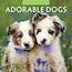 Adorable Dogs Kalender 2025