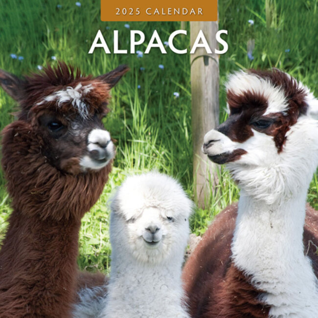 Calendario degli alpaca 2025