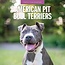 Red Robin Calendrier du Pit Bull Terrier Américain 2025