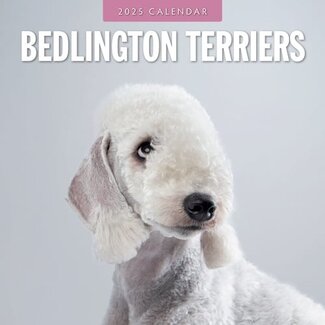 Red Robin Bedlington Terrier Kalender 2025