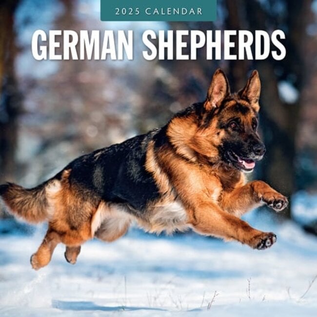 German Shepherd Calendar 2025