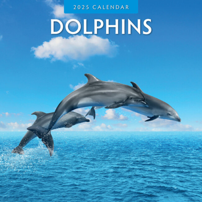 Red Robin Calendario Delfín 2025