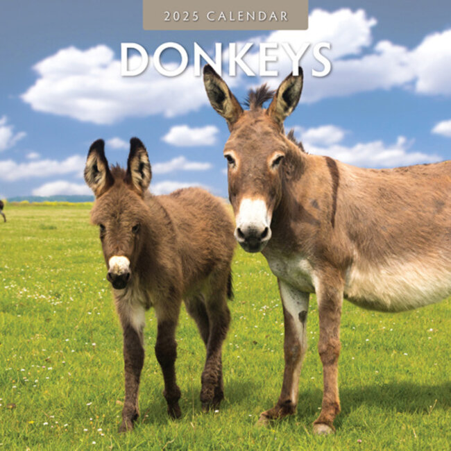 Red Robin Donkey Calendar 2025