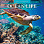 Calendrier Ocean Life 2025