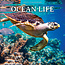 Ocean Life Calendar 2025