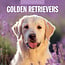 Calendario del Golden Retriever 2025