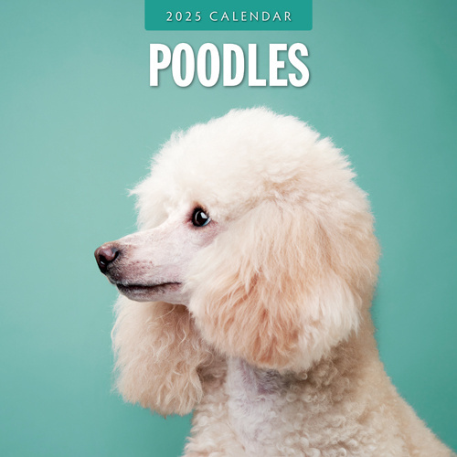Buy Poodle Calendar 2025 Order easily online