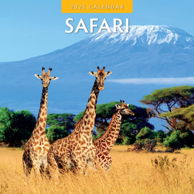 Safari-Kalender 2025